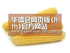 产品名称五