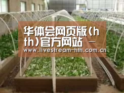 环境展示五