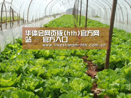 种植基地五