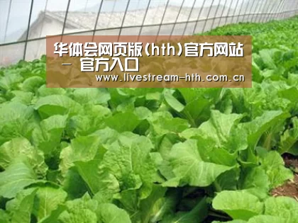种植基地一