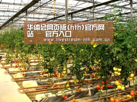 种植基地二