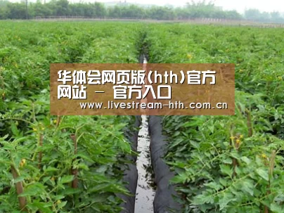 种植基地三