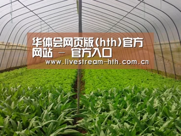 种植基地四