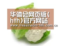 产品名称九