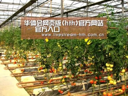 种植基地二(图1)
